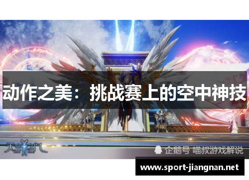 动作之美：挑战赛上的空中神技
